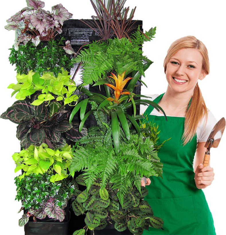 Why Choose Ggreen